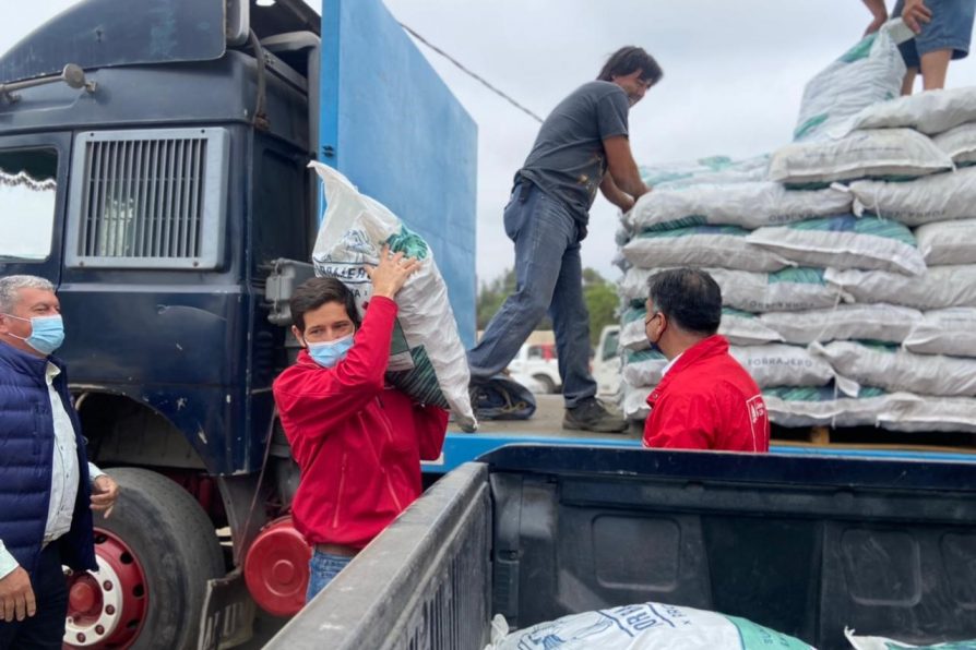 GOBIERNO ENTREGA DE FORRAJE PARA 120 GANADEROS DE PIRQUE