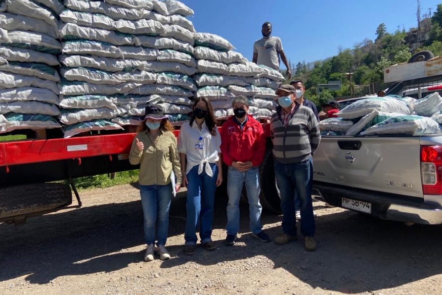 GOBIERNO ENTREGA FORRAJE DE EMERGENCIA PEQUEÑOS GANADEROS AFECTADOS POR LA ESCASEZ HÍDRICA EN SAN JOSÉ DE MAIPO