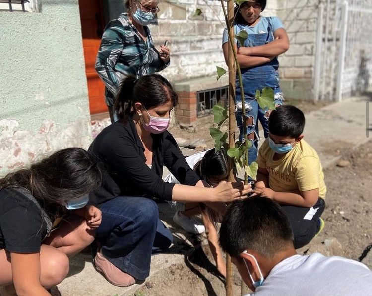 CAMPAÑA DE ARBORIZACIÓN IMPULSADA POR DELEGACIÓN PROVINCIAL Y CONAF METROPOLITANA, ENTREGA ESPECIES NATIVAS A COMUNIDADES Y JUNTAS DE VECINOS