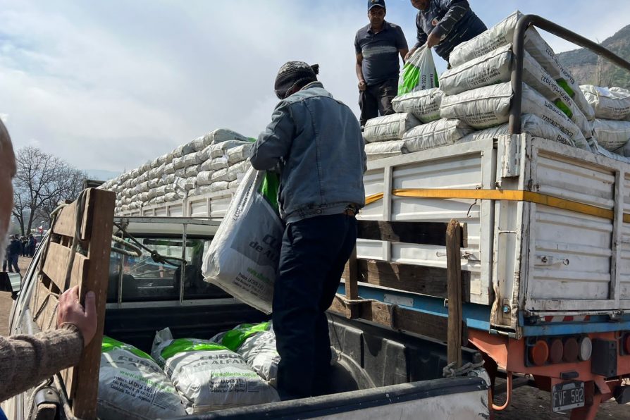 GOBIERNO ENTREGA 60.000 KILOS DE CUBOS DE ALFALFA A CRIANCEROS DE SAN JOSÉ DE MAIPO