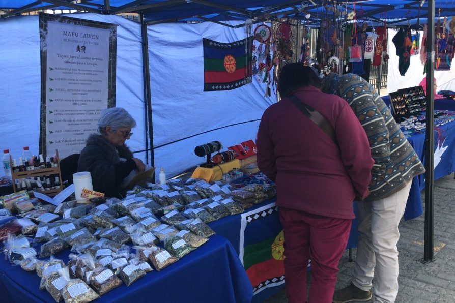 DELEGACIÓN REALIZA ACTIVIDADES PARA PROMOVER EL COMERCIO LOCAL Y ACERCAR ORIENTACIÓN LEGAL A LOS VECINOS Y VECINAS DE LA PROVINCIA CORDILLERA