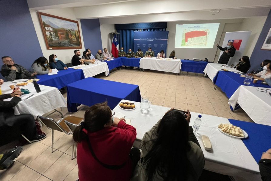 MÁS SEGURIDAD: DELEGADA PRESIDENCIAL COORDINA JUNTO A LA COMUNIDAD Y AUTORIDADES LOCALES ACCIONES PREVENTIVAS EN CIUDAD DEL SOL DE PUENTE ALTO