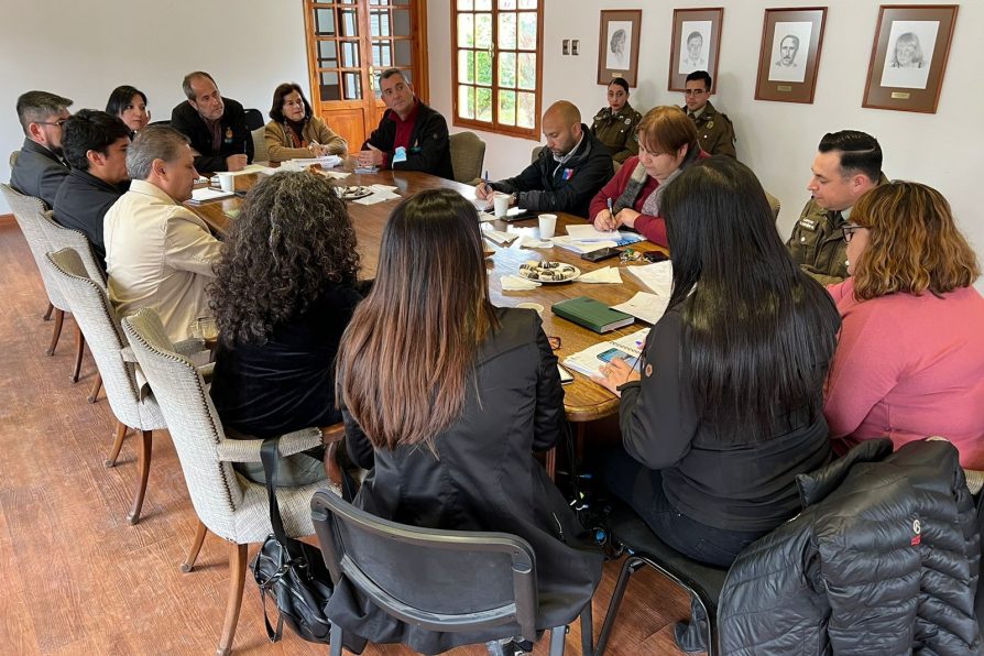 CONSEJO DE SEGURIDAD COMUNAL EN PIRQUE COORDINÓ ACCIONES EN EL TERRITORIO