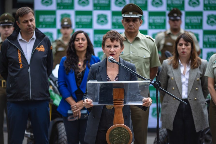 Ministra Tohá destaca resultados de ronda masiva de Carabineros con foco en Puente Alto
