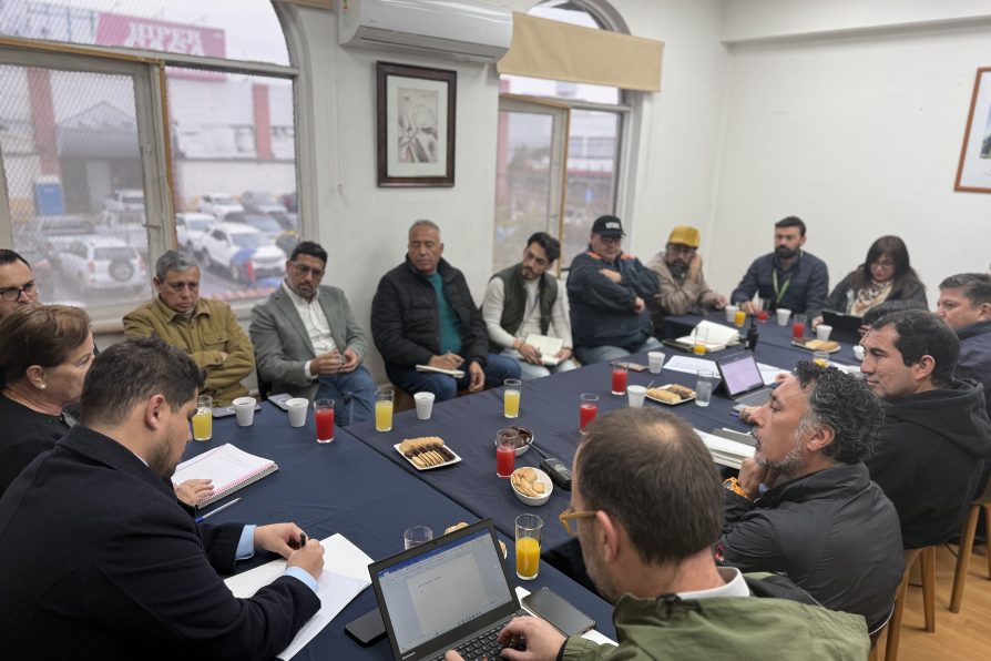 SEREMI de Energía RM y Delegación Presidencial Provincial de Cordillera realizan segunda Mesa de Trabajo de Calidad del Suministro Eléctrico